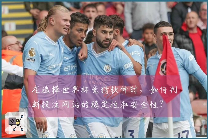 在选择世界杯竞猜软件时，如何判断投注网站的稳定性和安全性？