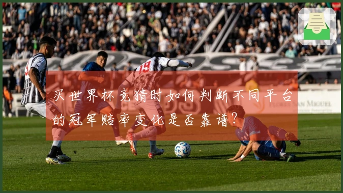 买世界杯竞猜时如何判断不同平台的冠军赔率变化是否靠谱？