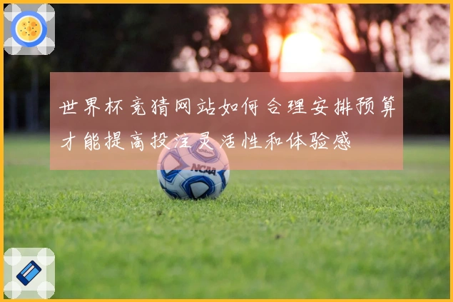 世界杯竞猜网站如何合理安排预算才能提高投注灵活性和体验感