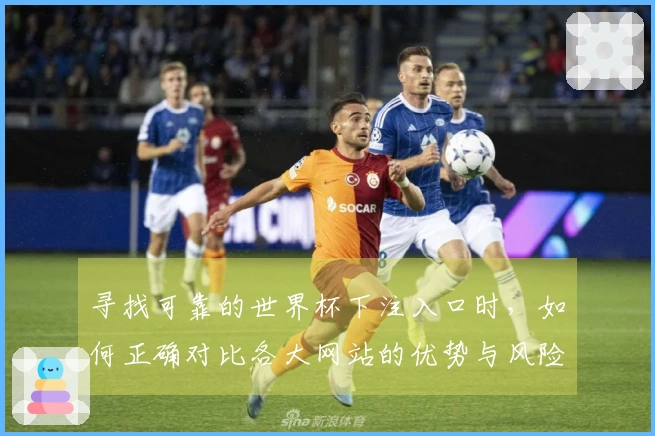 寻找可靠的世界杯下注入口时，如何正确对比各大网站的优势与风险？